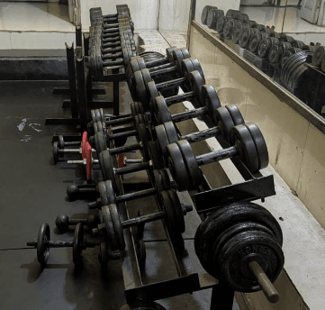 Gymnasium dumbbells and free weights
